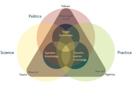 Three Types of Knowledge and actor spheres 