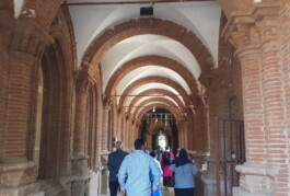 Institutionalisation of TDR 